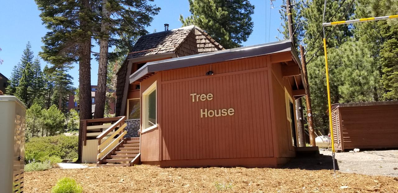 Tree House- Walk To Mammoth Village Mammoth Lakes Exteriér fotografie